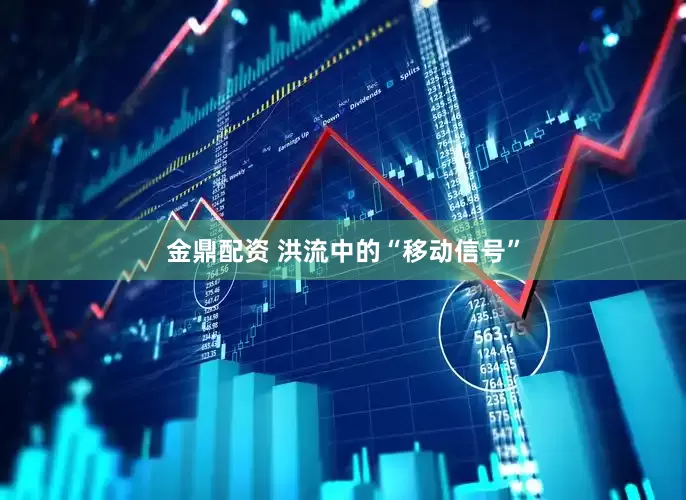 金鼎配资 洪流中的“移动信号”